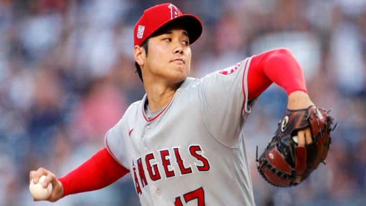 Shohei Ohtani Wife